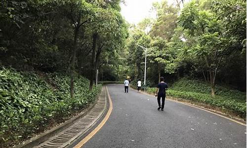 深圳铁仔山公园玻璃栈道在哪里,深圳铁仔山公园跑步