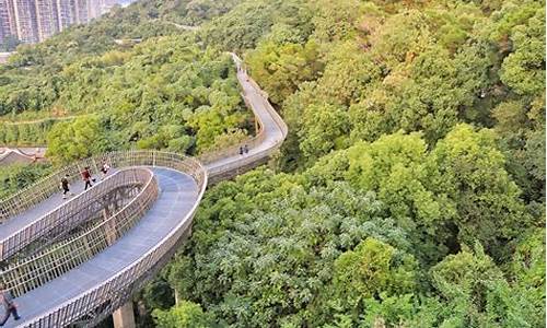 金牛山福道入口,金牛山公园福道