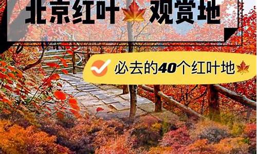 北京森林公园在哪里_北京森林公园在哪里预约