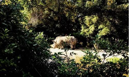 动植物公园简介_动植物公园门票多少钱?