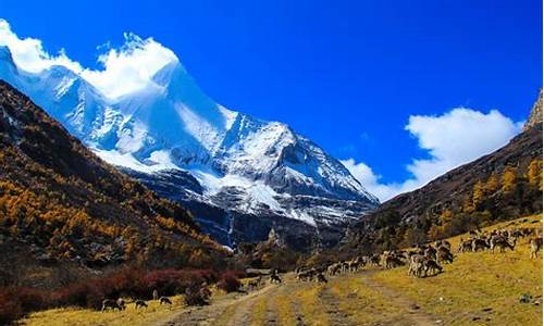 稻城亚丁自由行旅游攻略,稻城亚丁攻略自驾游