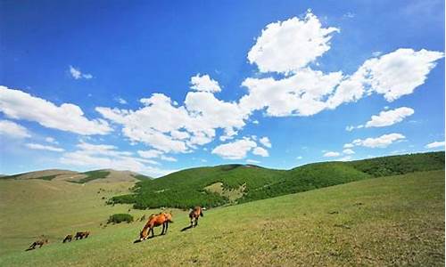 丰宁坝上草原旅游攻略去坝上草原怎么玩_丰宁坝上草原景区