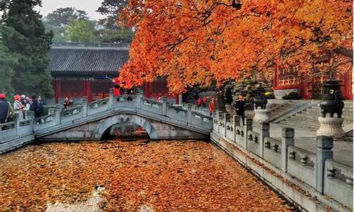 秋季旅游最佳去处,秋季旅游攻略美食