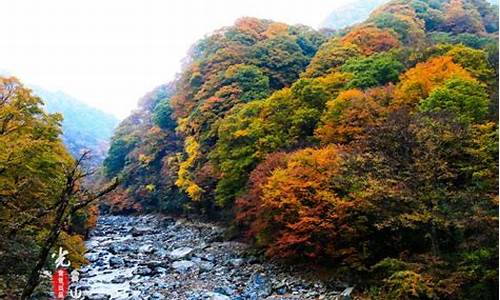 四川光雾山旅游攻略图_四川光雾山旅游攻略