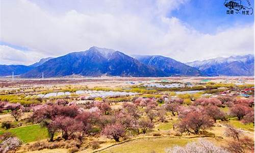 林芝旅游景点林芝景点大全_林芝旅游攻略必玩的景点大全