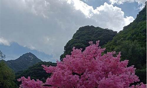 太平森林公园一天玩完多长时间,太平森林公园一天玩完