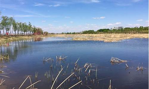 卧龙公园简介,卧龙公园风景区