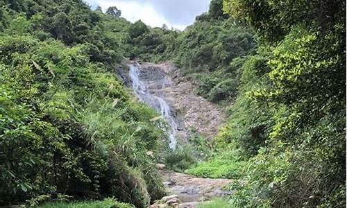 马峦山郊野公园攻略,马峦山郊野公园官网