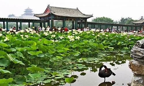 北京莲花池公园游览线路,北京莲花池公园游记