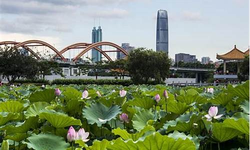 洪湖公园东门是哪个门,洪湖公园东门