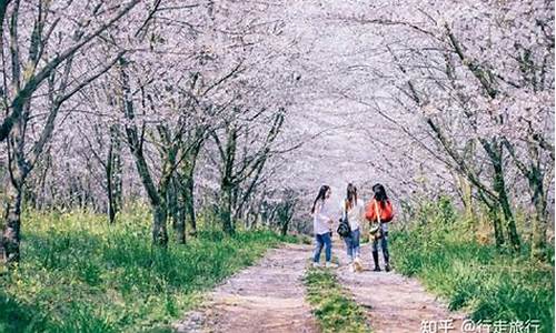 春季旅游景点推荐攻略_春季游玩攻略