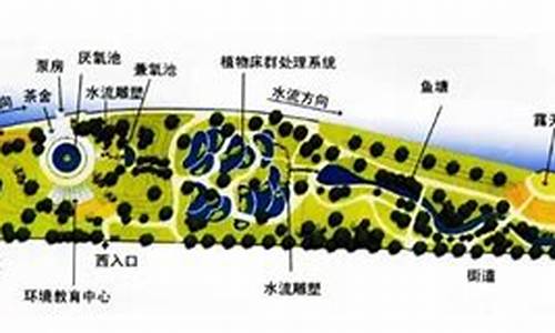 活水公园的水净化系统_活水公园的水净化系统介绍