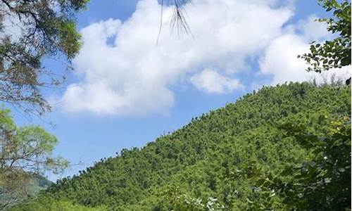 龙眼洞风景区_龙眼洞森林公园在哪里