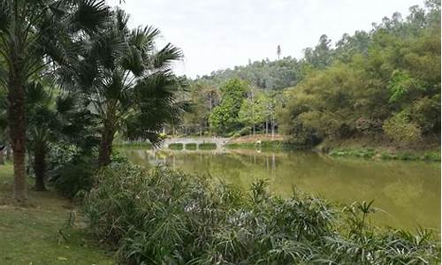 深圳龙城公园有大草地吗,龙岗龙城公园有桑树吗