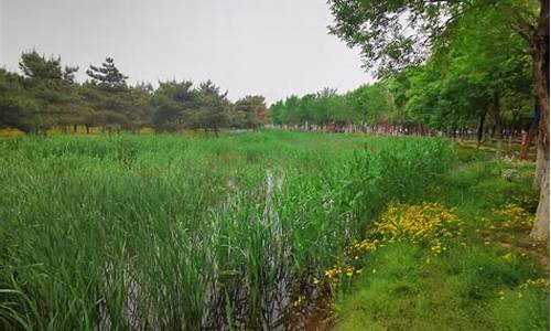 北京市郊区公园年票,2014北京郊区公园年票