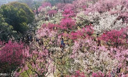 古林公园有什么花花草草,古林公园有几个门