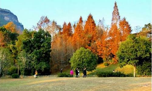 武夷山冬季旅游攻略_冬天去武夷山怎么玩