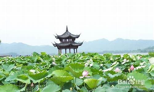 上海到杭州一日游景点大全,上海到杭州一日游景点