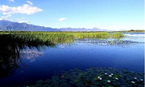 延庆野鸭湖湿地公园电话号码-延庆野鸭湖湿地公园