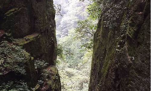 天目山 攻略-天目山旅游攻略两日游多少钱