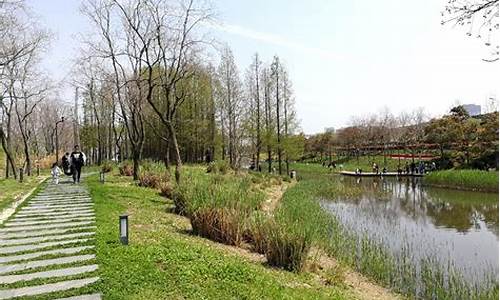 上海湿地公园主要有什么特点,上海湿地公园