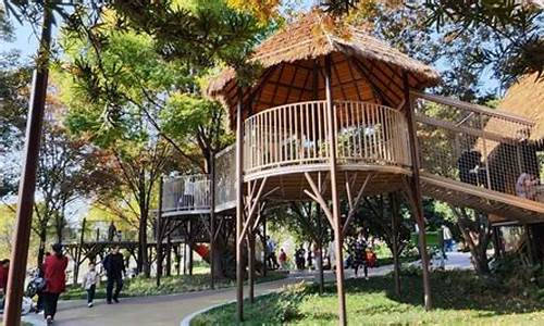 宁波儿童公园属于哪个街道社区,宁波儿童公
