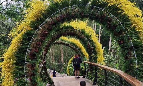 深圳仙湖植物园攻略一日游路线推荐,深圳仙湖植物园攻略一日游路线推荐