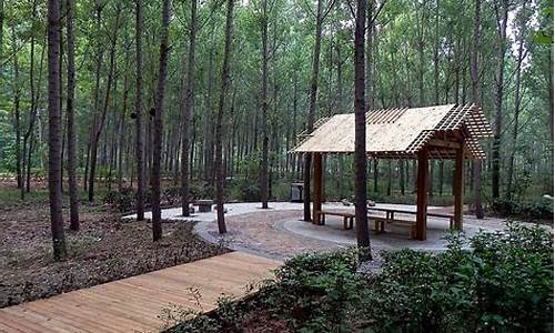 郑州森林公园门票多少钱一张_郑州森林公园要门票吗